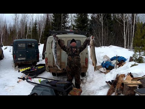 Видео: ОНИ НЕ ЛЕЗУТ В ЛУНКИ!!ЖИВЕМ В"БУХАНКЕ"!!Часть первая!
