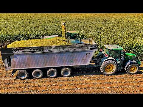 Видео: Урожай кукурузы 2024 JOHN DEERE 9900i 490 PLUS 12 рядов