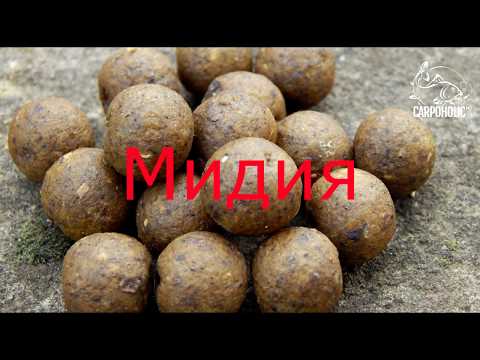 Видео: Рецепт Бойлов МИДИЯ