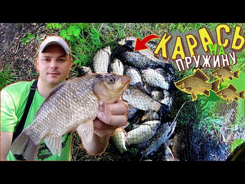 Видео: Ловля Крупного карася на Днепре. Рыбалка как в сказке.