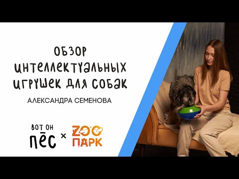 Видео: Обзор игрушек для собак от кинолога: Kong, Petstages, Ferplast (Вот он - Пёс!)