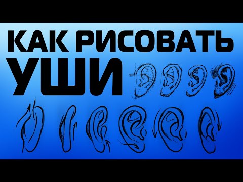Видео: КАК РИСОВАТЬ УШИ