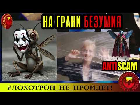 Видео: Fly🔥✅НА ГРАНИ БЕЗУМИЯ. ТРОЛЛИНГ ОГОНЬ!🔴СКАМ, МОШЕННИКИ, ПРИКОЛ, КРИМИНАЛ, ЮМОР