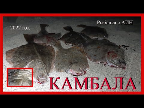 Видео: Камбала пошла на конец то 2022