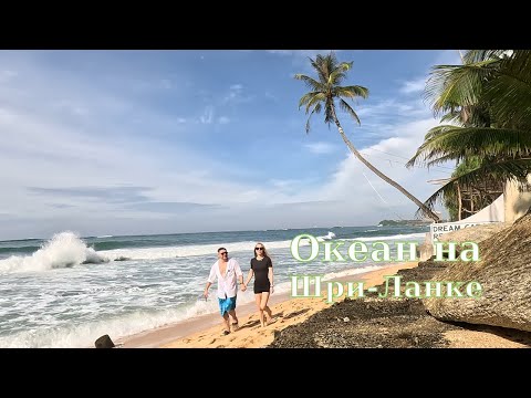Видео: Шри-Ланка 2025: пальмы и океан