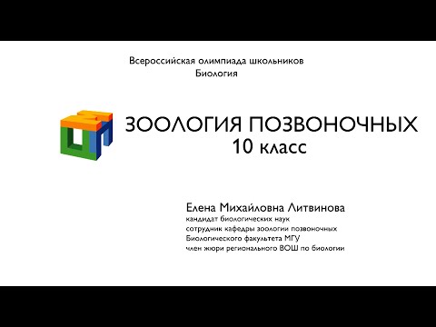 Видео: Биология. 10 класс. Литвинова Е.М. Зоология позвоночных. Часть 1