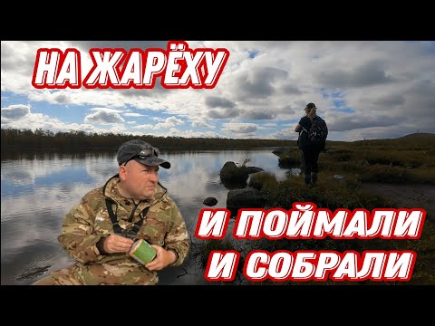 Видео: ПОКЛЁВКИ на НОВЫХ озёрах. Первые ГРИБЫ в СЕНТЯБРЕ. Нашли ШАЛАШ.