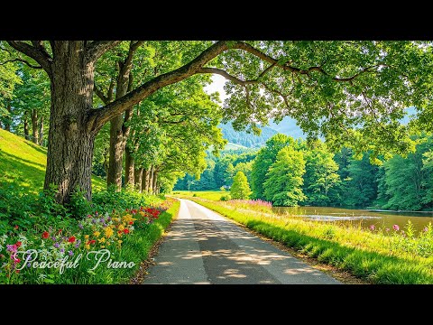 Видео: Успокаивающая фортепианная музыка🌿Прекрасная целебная музыка, нежные мелодии для снятия стресса