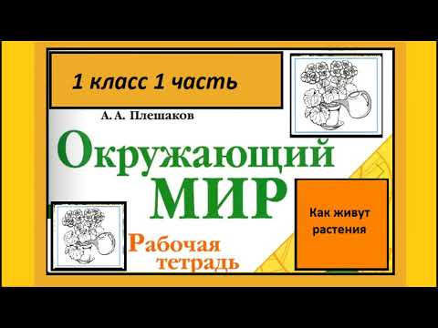 Видео: Окружающий мир 1 класс Как живут растения?