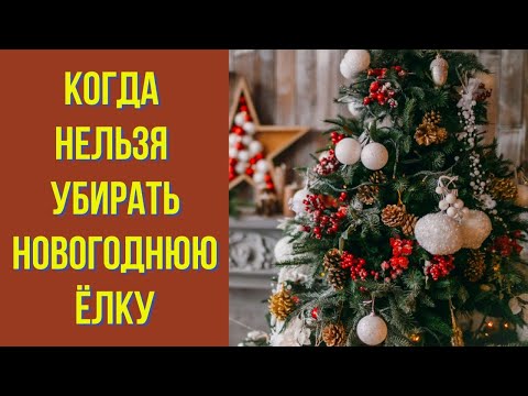 Видео: Когда нельзя убирать новогоднюю ёлку