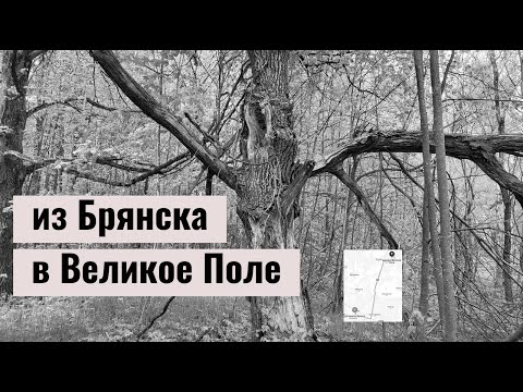 Видео: Деревня Великое Поле | старый погост в лесу | Калужская область | Жиздринский район