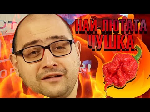 Видео: НАЙ-ЛЮТАТА ЧУШКА В СВЕТА | NoThx тества Carolina Reaper