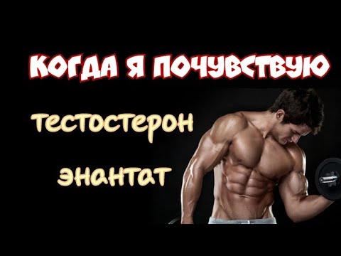 Видео: Когда я почувствую тестостерон энантат. Первый курс стероидов. Курс для новичков