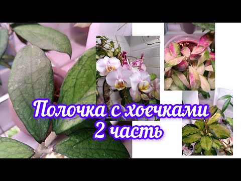 Видео: полочка с хоечками 2
