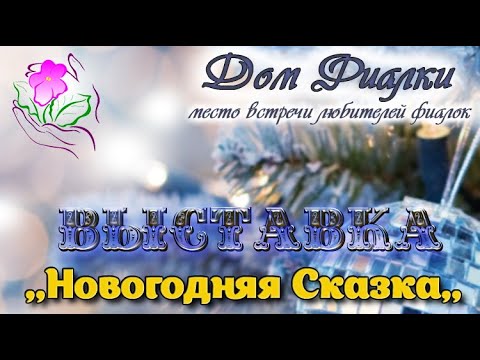 Видео: Обзор выставки "Новогодняя сказка-2025" группа Московская фиалка, в Доме Фиалки, Москва (4-14.01.25)