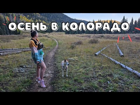 Видео: Я в шоке что творится в Колорадо??