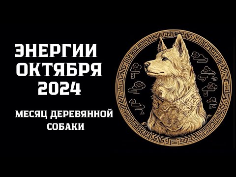 Видео: Энергии октября 2024 года