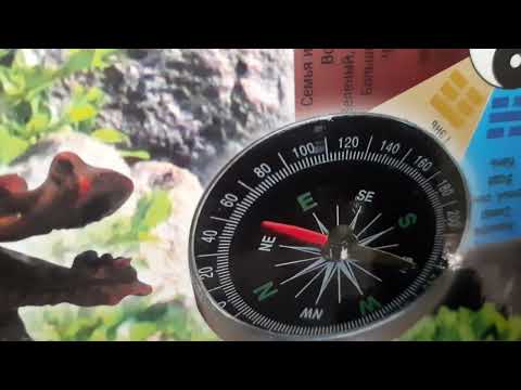 Видео: Дружба и путешествие  (ФЭН-ШУЙ)