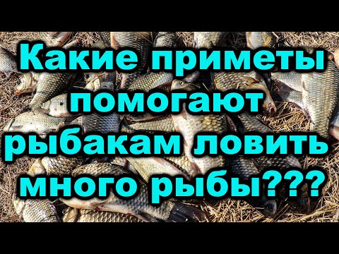 Видео: В какие приметы верят рыбаки?