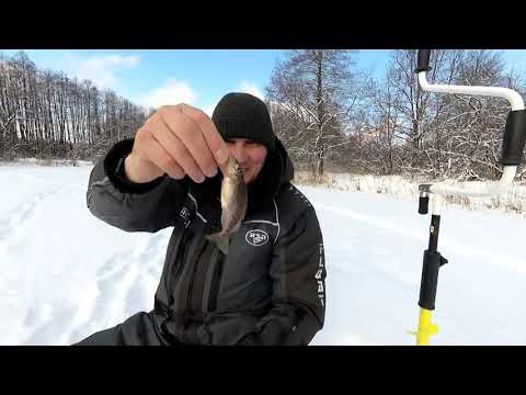 Видео: Что такое глухозимье?