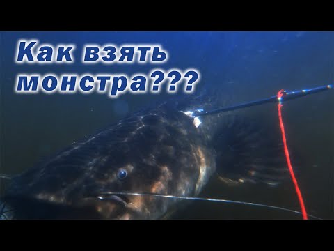 Видео: НАСТОЯЩАЯ ПОДВОДНАЯ ОХОТА!!! ВЗЯТЬ РЫБУ В ПОЛНОМ МРАКЕ!!!