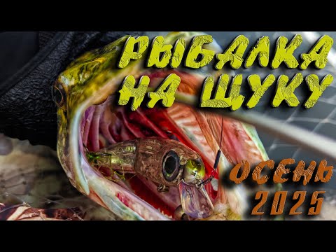 Видео: ЭТИ ВОБЛЕРЫ НЕ ДАЮТ ЩУКЕ ШАНСА! Ловля щуки на спиннинг осенью 2025