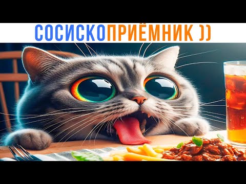 Видео: СОСИСКОПРИЁМНИК ))) | Приколы с котами | Мемозг 1364