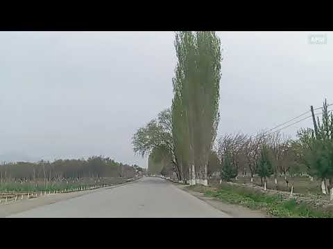 Видео: Исфара чуи Боло Устомулло