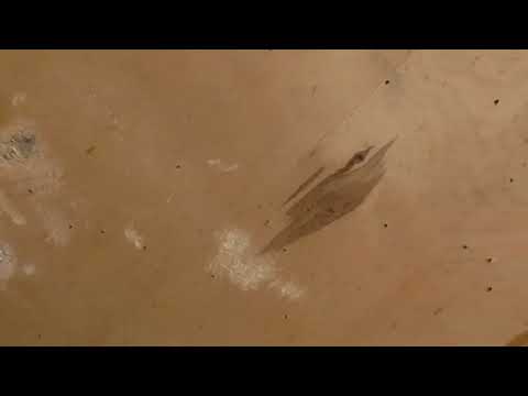 Видео: Дымный порох, что лучше, один пыж или два?