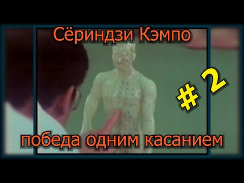 Видео: Приемы воинов, приемы врача. Смертельные, болевые точки воздействия. Сёриндзи Кэмпо ч.2.