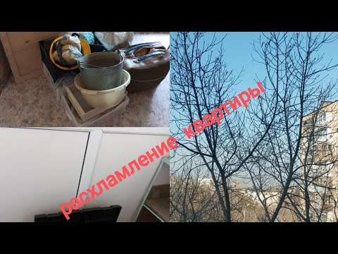 Видео: Мотивация . Расхламление квартиры продолжается . Вывоз  вещей.2 часть.