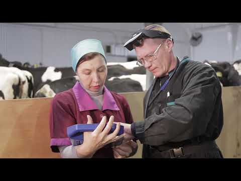 Видео: ЗАО племзавод "ИРМЕНЬ"