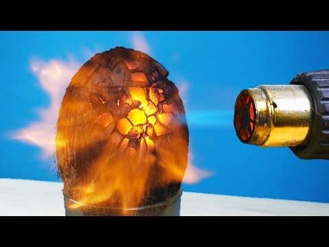 Видео: Бедный КОКОС! Подборка ЛУЧШИХ ЭКСПЕРИМЕНТОВ со СТРОИТЕЛЬНЫМ ФЕНОМ НА LIVE TODAY