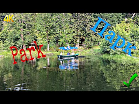 Видео: Бешуми альпийский лес парк|Beshumi alpine forest park|ბეშუმის ალპური ტყე პარკი|годердзи
