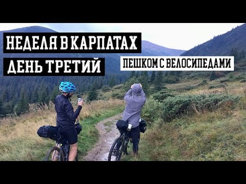 Видео: В карпаты на Велосипеде. День третий. Спуск с гор. Велоблог.