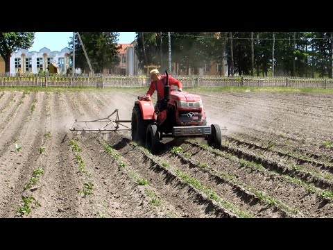 Видео: Самая лучшая механическая прополка картофеля.