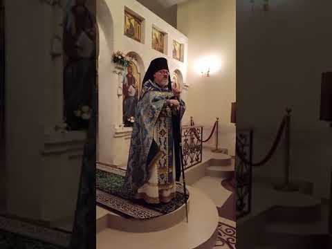 Видео: Трудный, но благодатный путь(проповедь 4.12.2024)