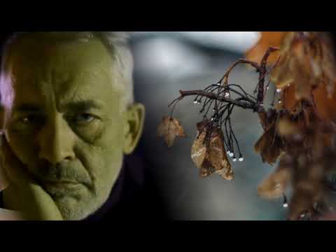 Видео: Евгений Дятлов  -  Вечерний звон