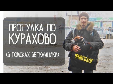 Видео: Прогулка по Курахово/ Джина покусали/Ветклиника