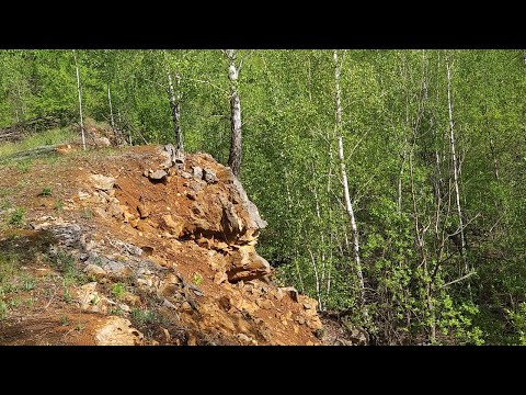 Видео: 26.05.2025 15:31 понедельник. Просто в карьер бывший наш, тот самый, у Южного, проверить землянику.