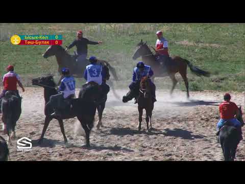 Видео: Көк бөрү Ысык-Көл-Төш-Булак