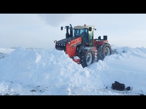 Видео: RSM 2375 и JCB 531-70 расчищают силосный бурт от снега. ЗИЛ и МТЗ-1221 на перевозке силоса.