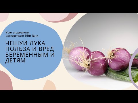 Видео: 732. Чешуи лука. Польза и вред беременным и детям.