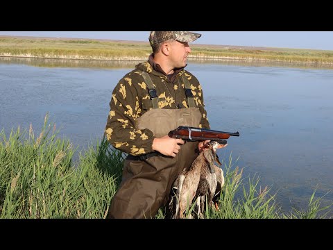 Видео: ОТКРЫЛ СЕЗОН С ОБРЕЗОМ! КОРОЛЕВСКИЙ ВЫСТРЕЛ ПО УТКЕ С ТОЗ 106!