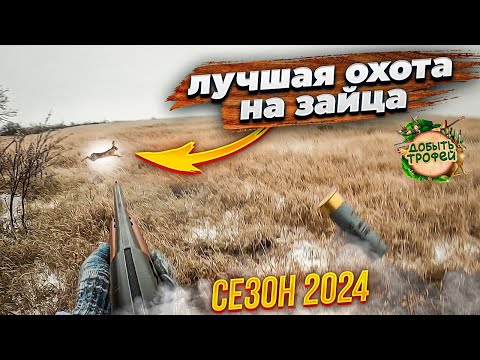 Видео: ЛУЧШАЯ ОХОТА СЕЗОНА 2024 на ЗАЙЦА !