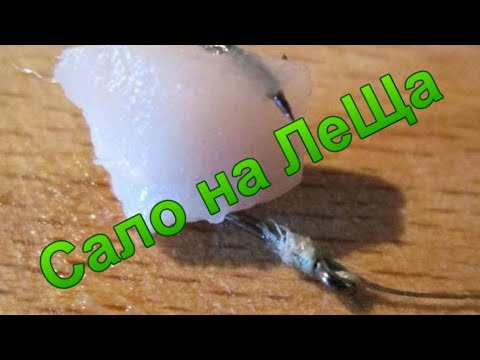 Видео: Сало на леща.