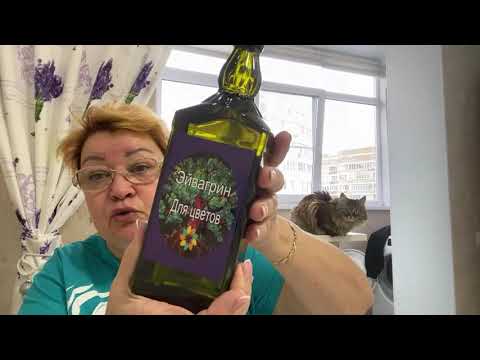 Видео: Выгнала МИХАЛЫЧА.