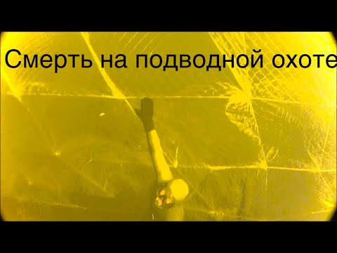 Видео: 👿Чуть не утонул,Смерть на подводной охоте,сети,браки👺