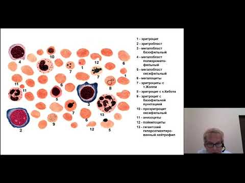 Видео: Патофизиология 1. Патофизиология системы эритроцитов