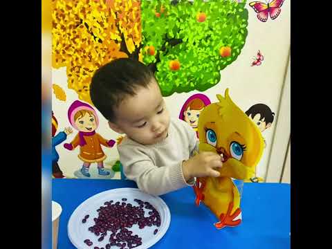 Видео: “Креативті тәрбиеші” 28 октября 2025 г.